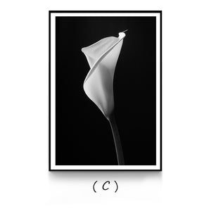 Nordic White Flowers Canvas Black Posters Print Modern Wall Art Pictures For Living Room Bedroom Aisle Dinning Room Studio Cafe