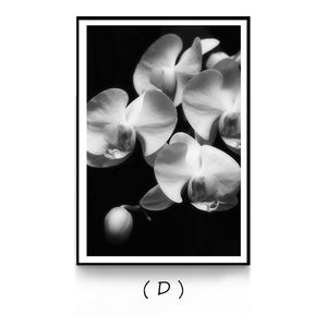 Nordic White Flowers Canvas Black Posters Print Modern Wall Art Pictures For Living Room Bedroom Aisle Dinning Room Studio Cafe