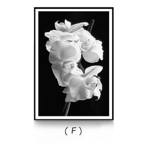 Nordic White Flowers Canvas Black Posters Print Modern Wall Art Pictures For Living Room Bedroom Aisle Dinning Room Studio Cafe