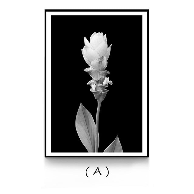 Nordic White Flowers Canvas Black Posters Print Modern Wall Art Pictures For Living Room Bedroom Aisle Dinning Room Studio Cafe