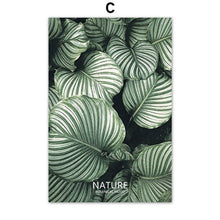 Load image into Gallery viewer, Canvas Painting Wall Art Print Tropical Big Leaves Nordic Posters And Prints Green Plant Kids Room Wall Pictures For Living Room