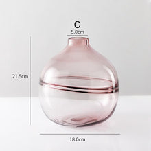 Load image into Gallery viewer, Modern Simple Transparent Glass Vase Hydroponics Vases Arrangement Dried Flower Container Creative Wedding Ornaments Home Decor