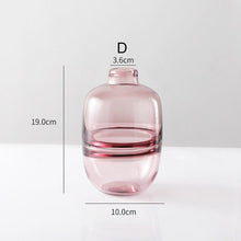 Load image into Gallery viewer, Modern Simple Transparent Glass Vase Hydroponics Vases Arrangement Dried Flower Container Creative Wedding Ornaments Home Decor