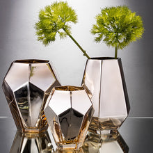 Load image into Gallery viewer, Electroplated Glass Vase for Floral Display Home Decorative Tabletop